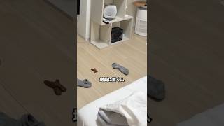 ロボット掃除機はどこまで進化したの？Ecovacsの最先端ロボット掃除機 DEEBOT T90 PRO OMNIを使ってみた！#PR #DEEBOTT90MAX #OZMOローラー