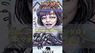 日本保守党の女性デストロイヤー