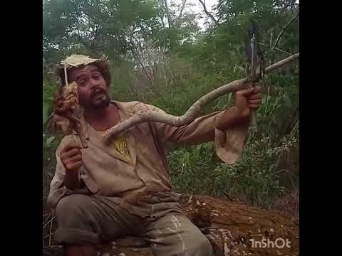 Matuto caçando parte 2