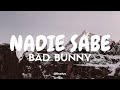 Bad Bunny - Nadie Sabe (Tradução/Legendado) PT-BR