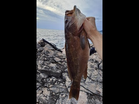 Shore Jigging ( Black Minnow ) - Groupers and dentex strike