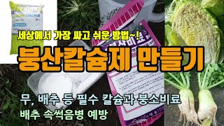 텃밭농사 배추 속썩음병과 무,쪽파등의 붕소와 칼슘부족으로 가장 싸고 저렴한 칼슘제인 붕소붕산칼슘제 만드는 방…