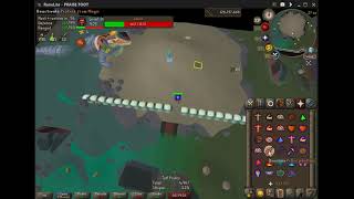 HCIM All Praise Zebak