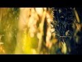 「 Alina Baraz & Galimatias || Pretty Thoughts ...