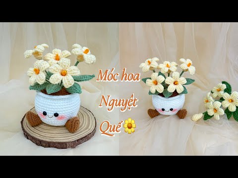 Hoa nguyệt quế