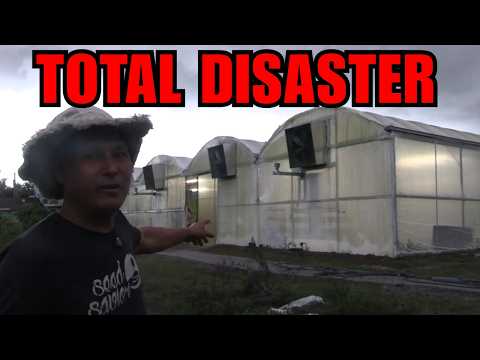 Why This Florida Fruit Fanatic Just Gutted His $250,000 Greenhouse