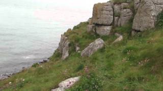 Walk from Broad Haven Beach to St Govans Chapel near Pembroke in Pembrokeshire Wales 09