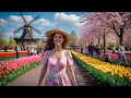Keukenhof Tulip Garden Amsterdam Netherlands Spring Tour In 4K