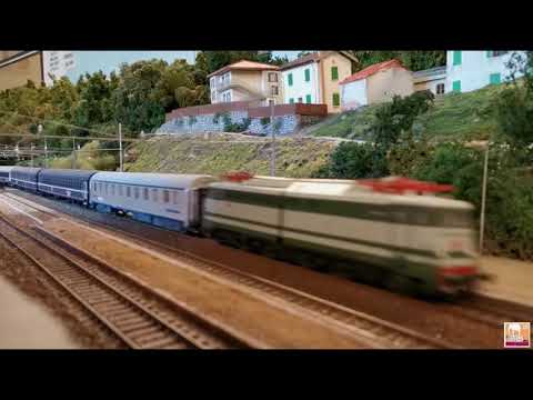 MASTODONTE DEI GIOVI NEW ACTIVITIES