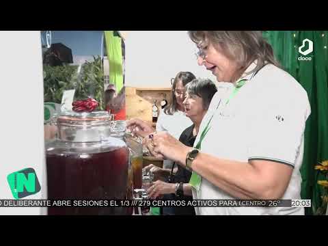 #ElNoticiero: Campo Viera vive a pleno la Fiesta del Té