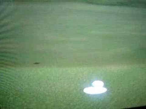 Tiger Woods PGA Tour 07 Xbox