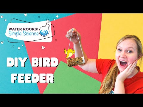 DIY Toilet Paper Roll Bird Feeders (Water Rocks! Simple Science | Episode 3)