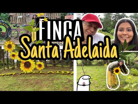 Tarde de lluvia y café en Finca Santa Adelaida🌸🌻🌺🍂