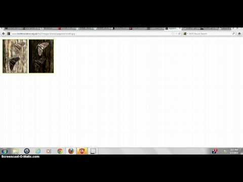 Natural Selection & Adaptation