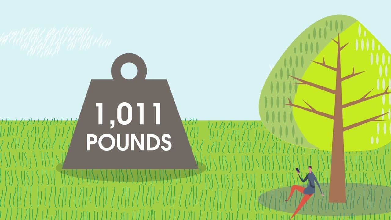 How much CO2 does planting a tree offset? Tipseri