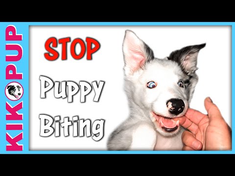 STOP UNWANTED behaviors with BACK UP