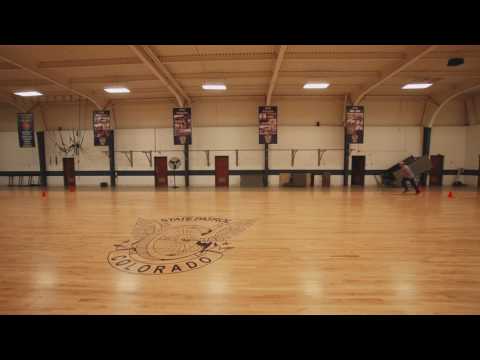 download lagu mp3 mp4 Adam Holiday 20m Beep Test Introduction, download mp3 Adam Holiday 20m Beep Test Introduction free downloadn, video klip Adam Holiday 20m Beep Test Introduction