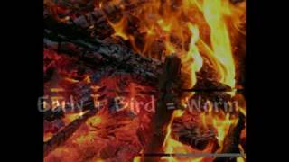 Drinking Bone- Tracy Byrd