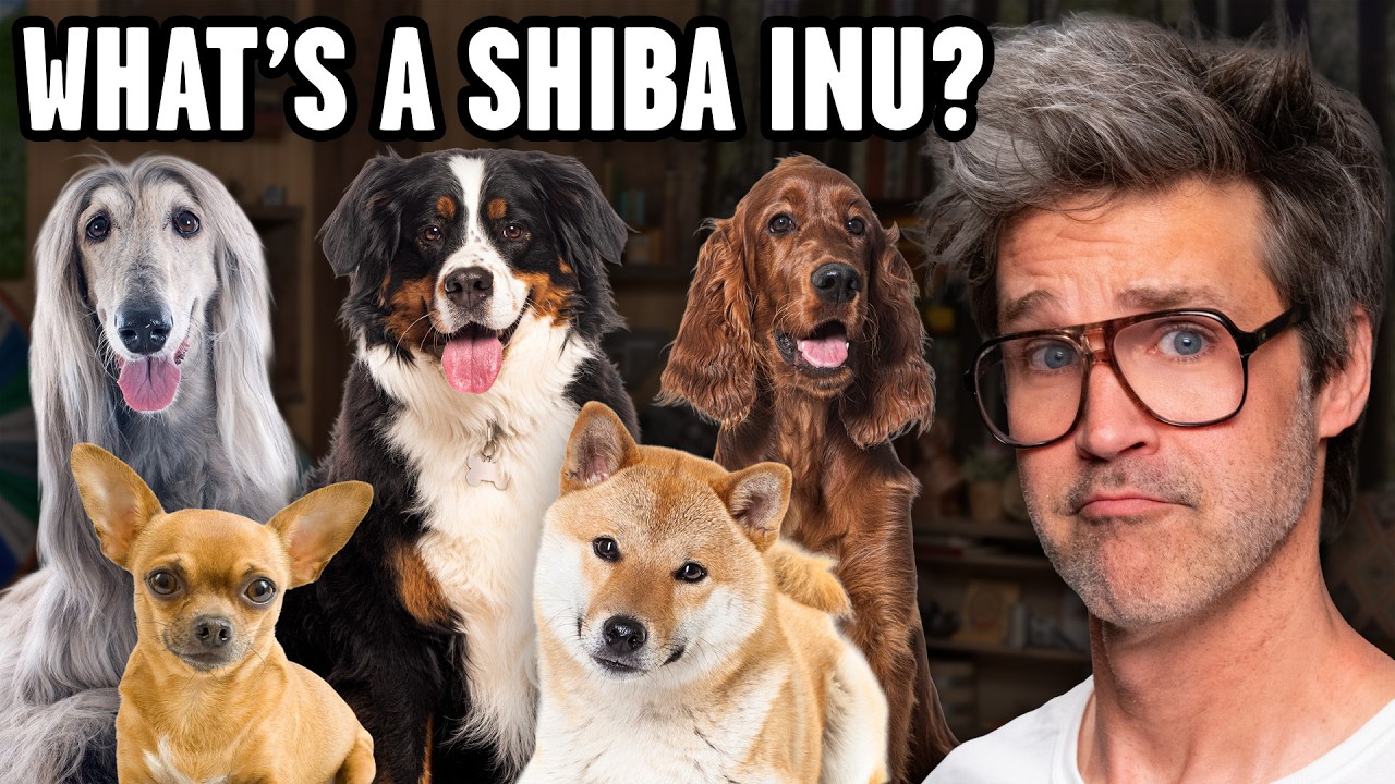 How Well Do We Know Dogs?