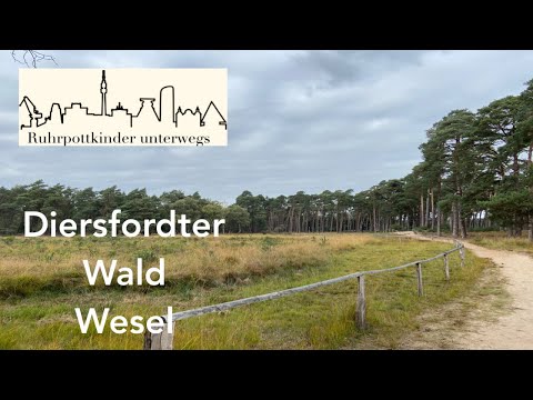 Diersfordter Wald - Wesel-Diersfordt am Niederrhein
