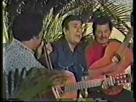 TRIO VEGABAJENO el amor del jibarito
