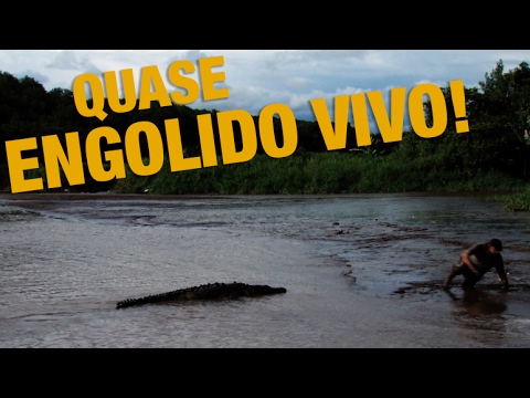 CROCODILO GIGANTE | RICHARD RASMUSSEN