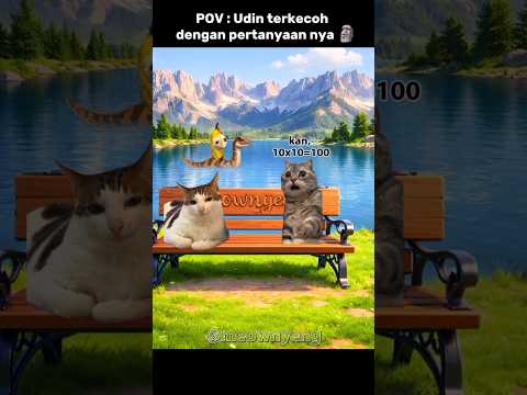 Ayo bantu Udin menjawab nya !!! 😁 #cat #memes #komedi #kucinglucu #trending