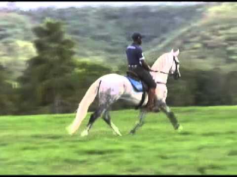 Haras Lumiar - 20 LENDARIO DO LUMIAR