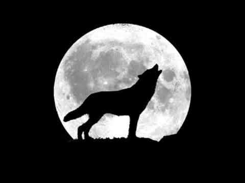 MINERAŁ (LAKI, MUPENS) - LUNOTOK