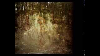 Decomposing Trees (Galaxie 500 cover)