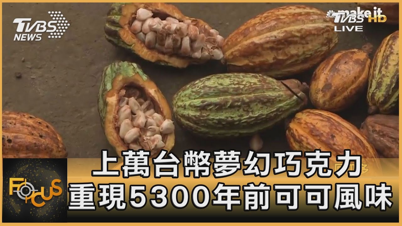 上萬台幣夢幻巧克力 重現5300年前可可風味