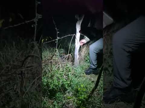 Gece denetiminde kaçak av cihazı ele geçirildi 🐦🔊