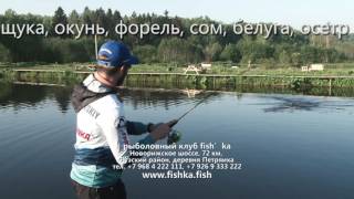 Рыболовный клуб фишка липки