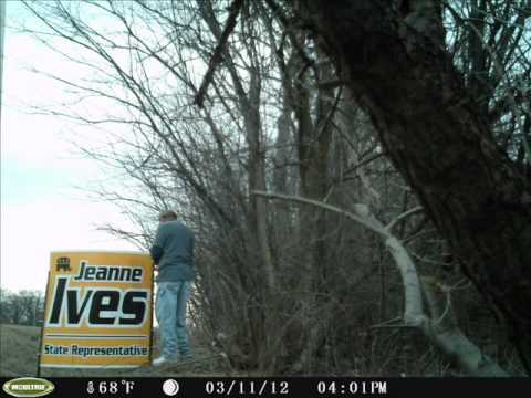 Mark Carlin caught taking down campaign sign of Jeanne Ives