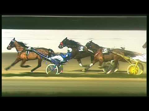 Trotto 24/01/2020 - 6ª corsa