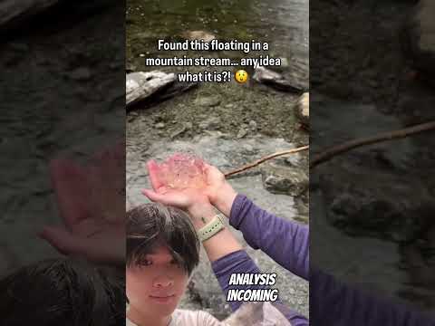 Freshwater creatures?