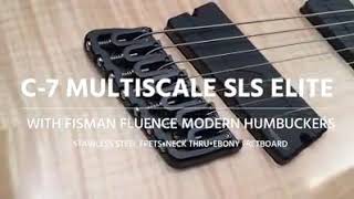 Video thumbnail for Schecter C-7 Multiscale SLS Elite by Scoopdoggydogg McC