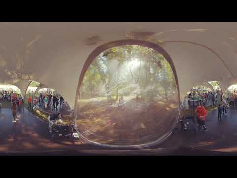 360 градусов.Hyundai Family day 2019. Елагин остров. Санкт-Петербург.
