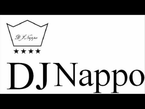 New Electro House Music Summer 2011 Mix by DJNappo