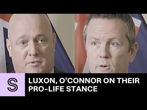 Roe v Wade: National's Christopher Luxon, Simon O'Connor on their pro-life stance | Stuff.co.nz