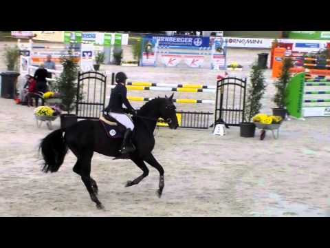 7yo Cent Harsum 2015 *SOLD*