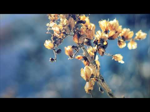 Downtempo/Space/Ambient Mix (Therapist - Resurgence)