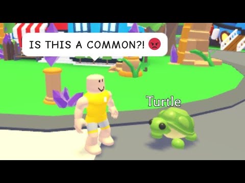 Types of people when YOU get your FIRST legendary in Adopt Me…