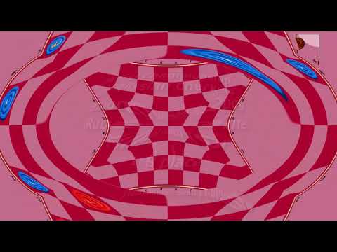 Miskova Elena (MDA) - Makarenkova Julia (UKR). World Draughts-64_women-2009. Final.