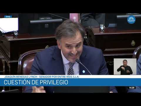La falacia del absurdo: Por qué la defensa de Benegas Lynch debilita la ética legislativa