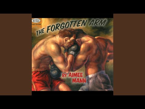 I Was Thinking I Could Clean Up for Christmas - Aimee Mann