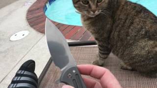 Hanging out at the pool playing with my grail knife