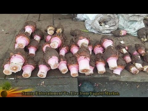 PART ONE - Fugalei Market  Live Update  16 Dec 23 - Samoa Entertainment was Live.