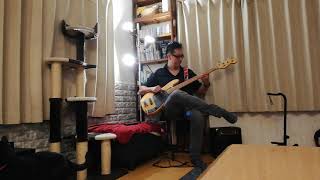 Elvis Costello &quot;The Other Side Of Summer &quot; Bass cover