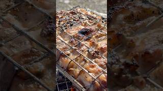 外で食べる炭火焼きチキン